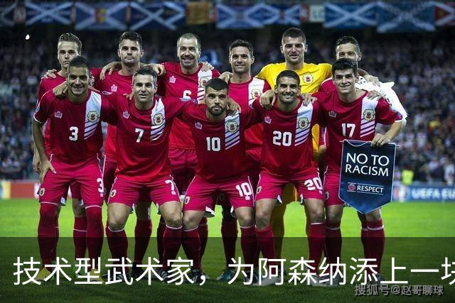 技术型武术家，为阿森纳添上一块拼图